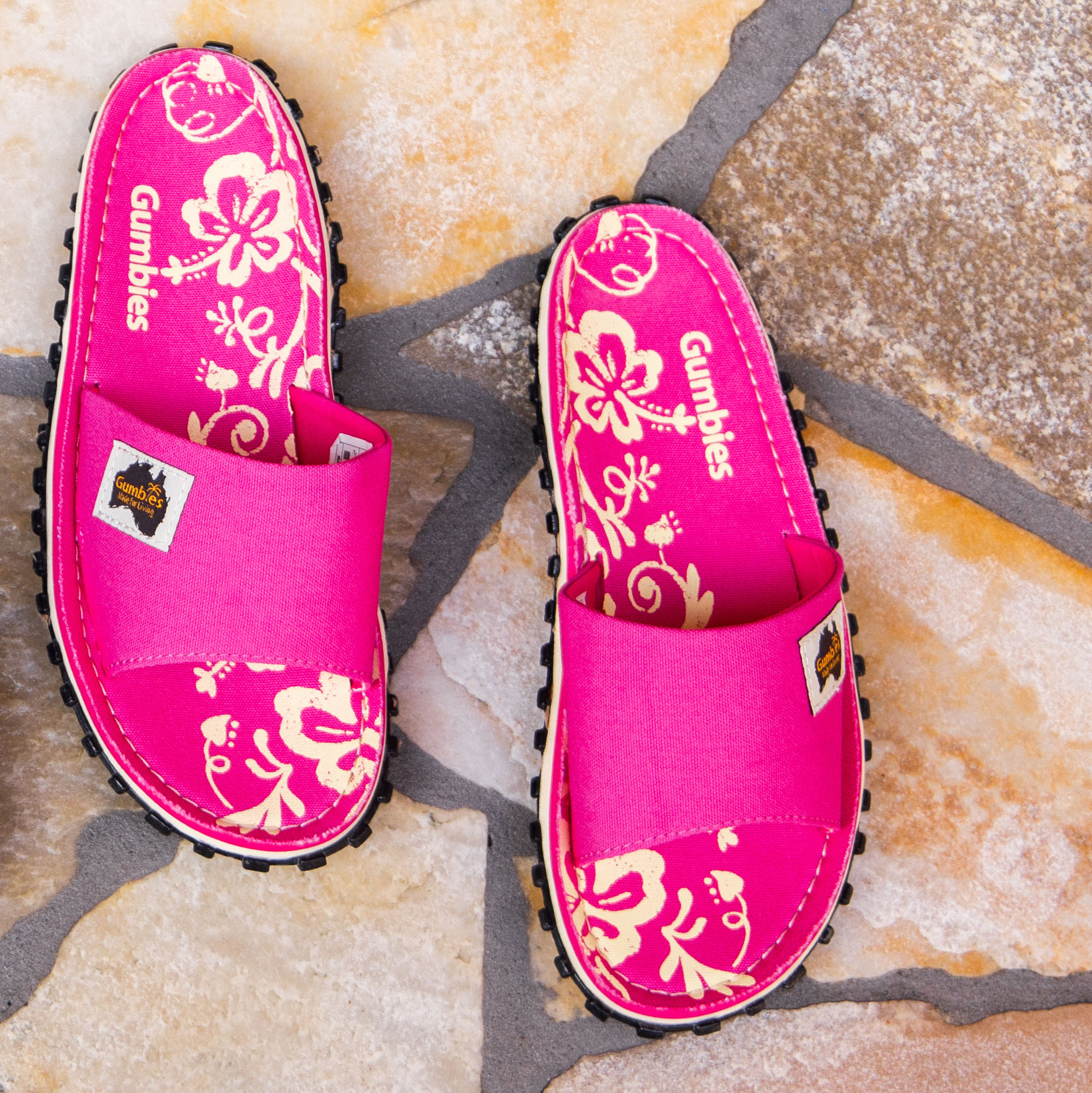 Pink Hibiscus – Slides