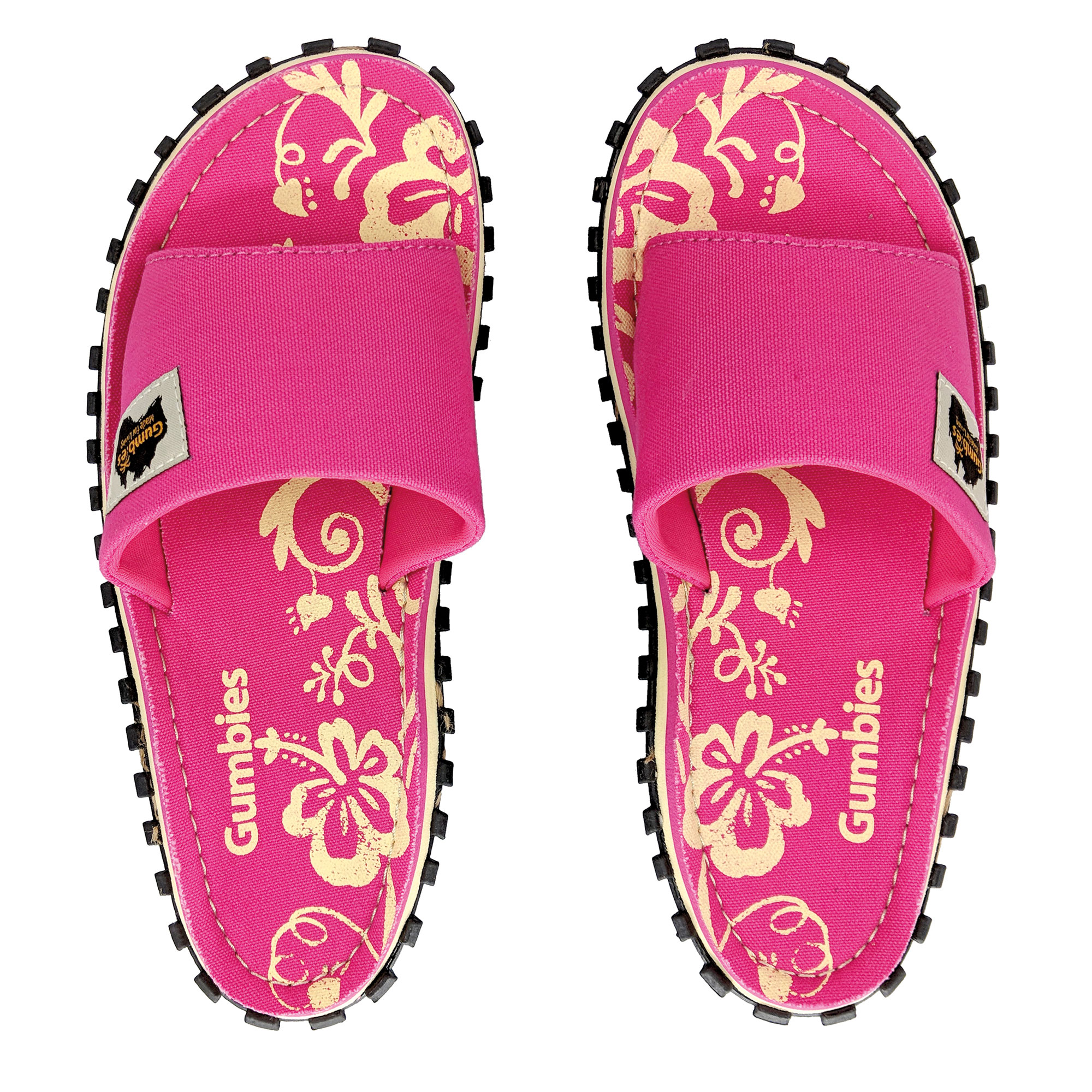 Pink Hibiscus – Slides