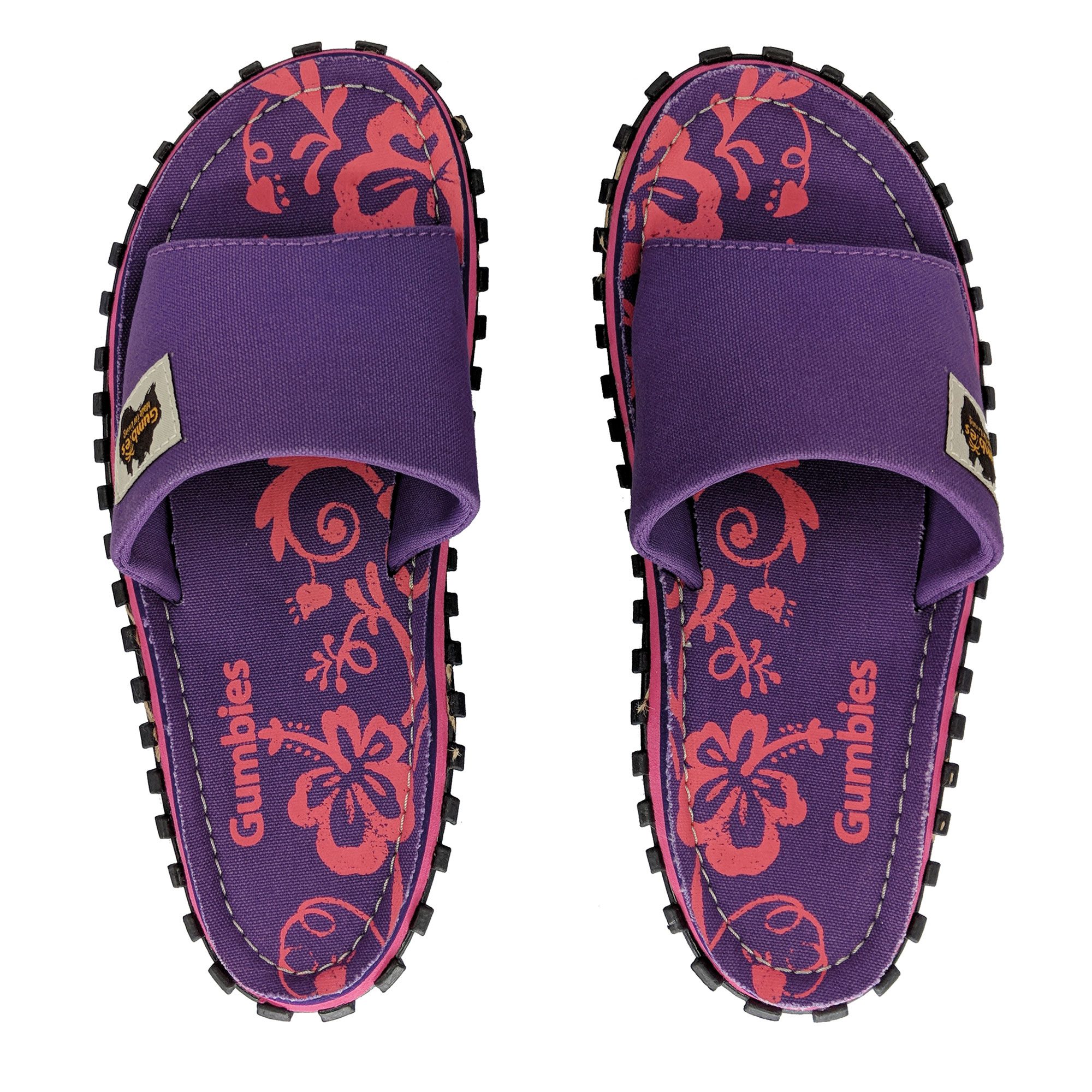 Purple Hibiscus – Slides Purple Hibiscus – Slides