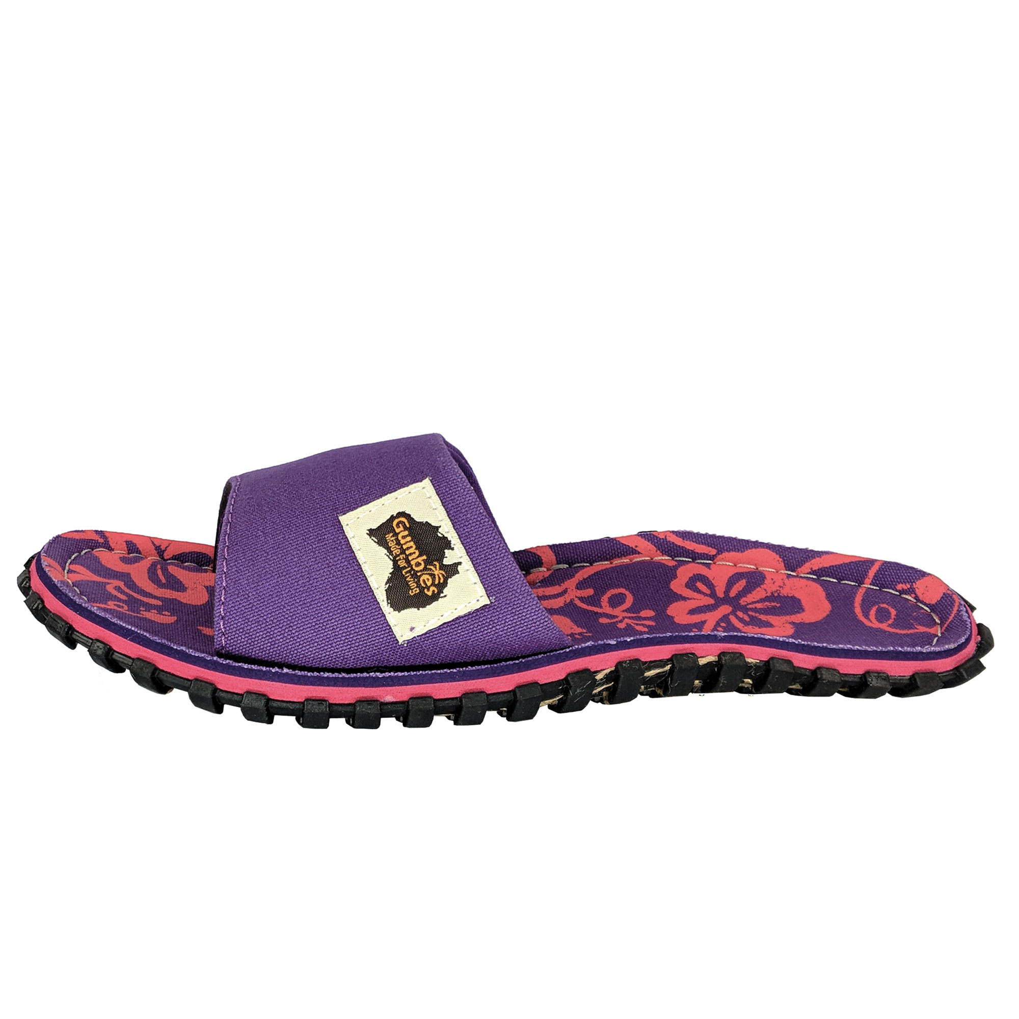 Purple Hibiscus – Slides