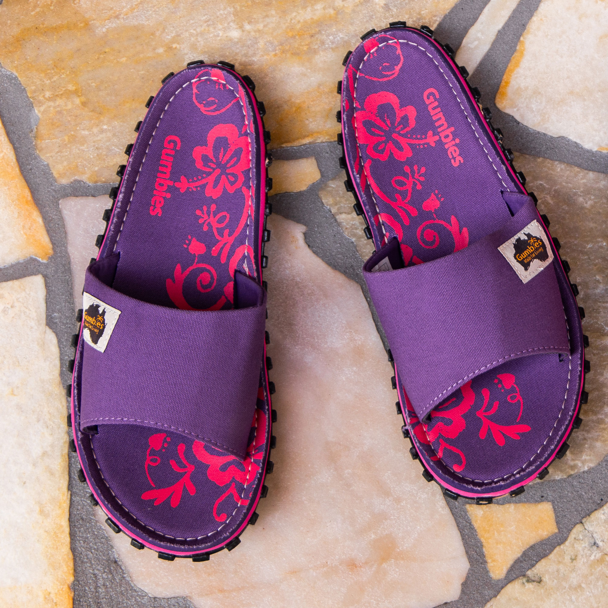 Purple Hibiscus – Slides Purple Hibiscus – Slides