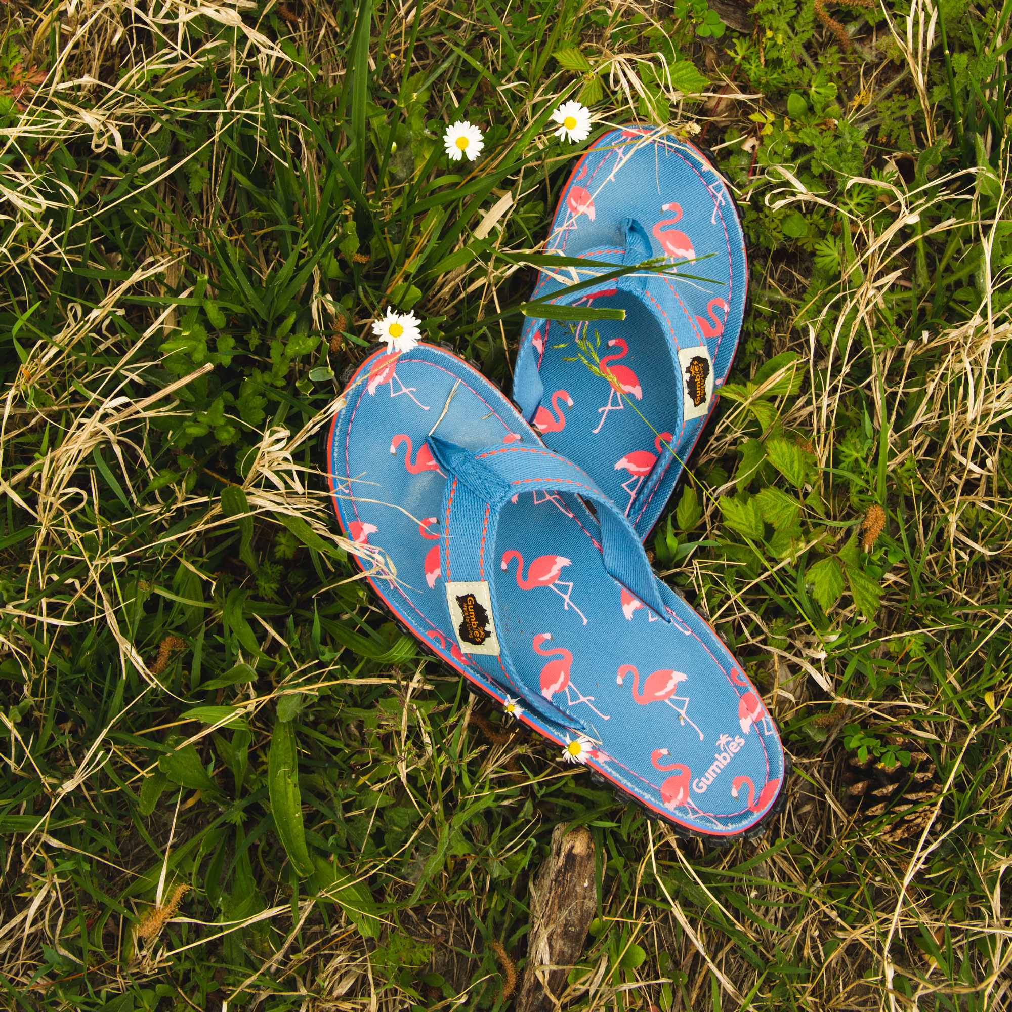 Flamingo – Original Flip Flops Flamingo – Original Flip Flops