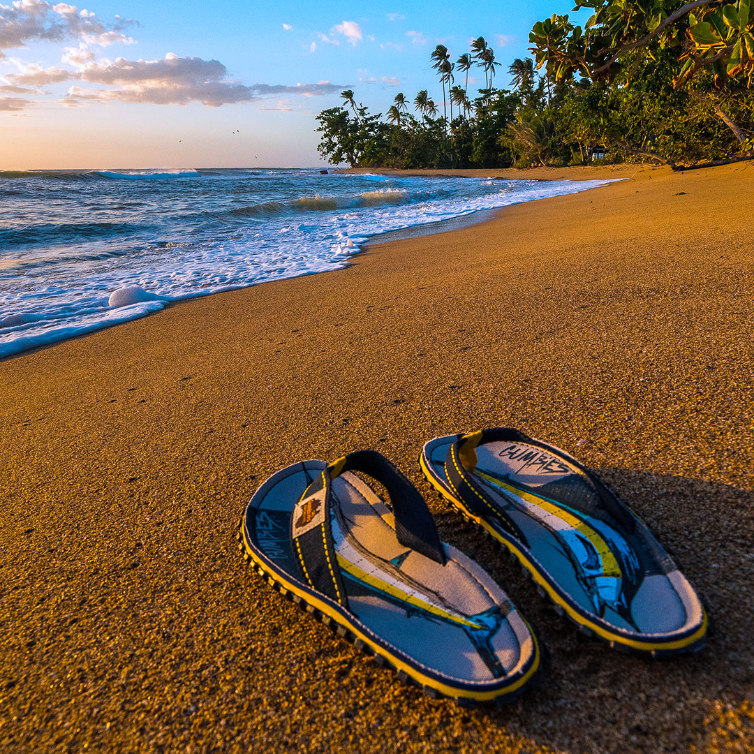 Sail Fish – Original Flip Flops Sail Fish – Original Flip Flops